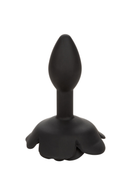 TAPON ANAL FORBIDDEN