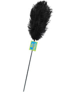 PLUMA GRANDE