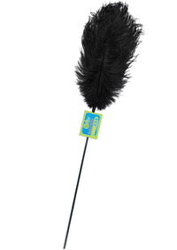 PLUMA GRANDE