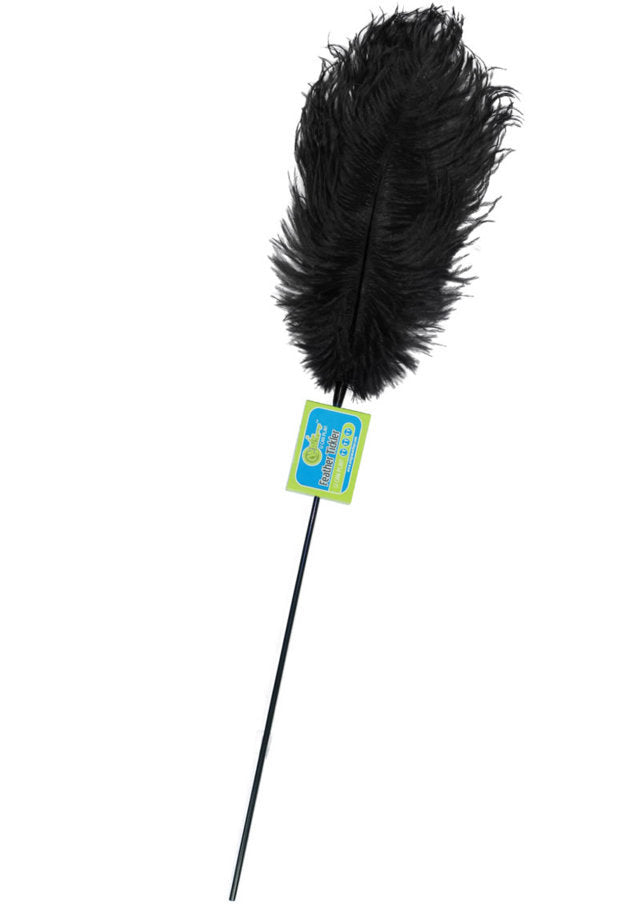 PLUMA GRANDE