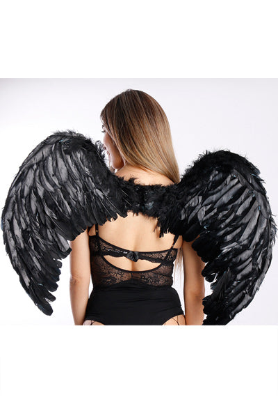 WINGS
